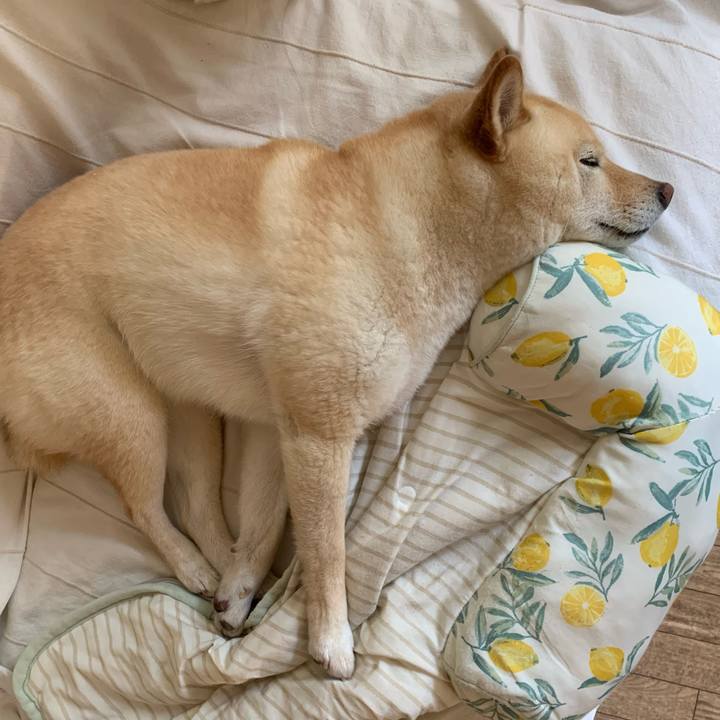 6f88c7b1 dd01 451b 94e8 2b269a64491e 1657170985792