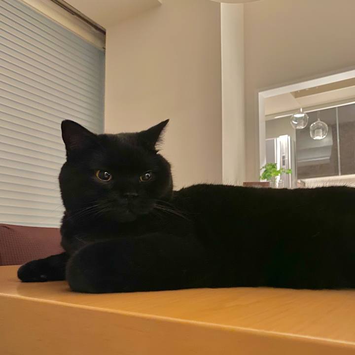 6f88eca5 d3d6 43a5 bfc9 59b95d2a9d95 1689166714350