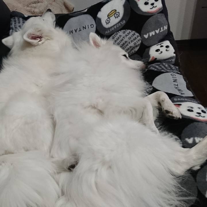 6f88ecd4 875b 40dc 94e4 3a90d1a5ef20 1579079945481