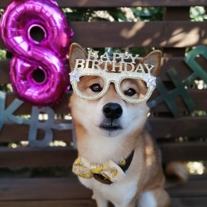 6f88f922 71ca 48f5 93a8 94695fa34d59 1607464574933