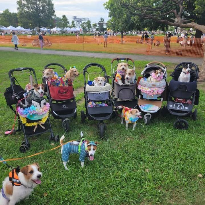 6f896154 413c 41c4 960c 4e4f50f9a563 1689549126403