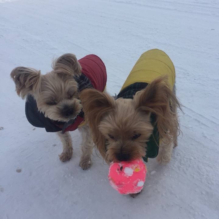 6f898478 c220 4b8f b1d5 bd5046cab49c 1547196695773