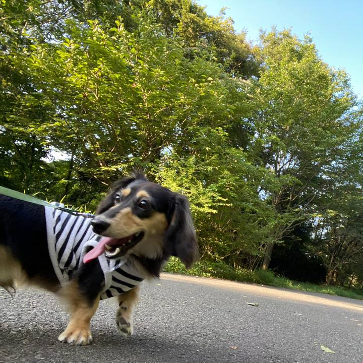 6f89f7ca d475 428d 9376 73020dd2d483 1691106597852