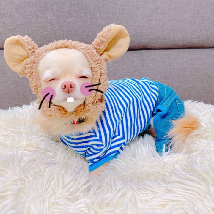 6f8a0aa2 9ff9 4b9b 8f29 fc5a37cd68c7 1638967461330