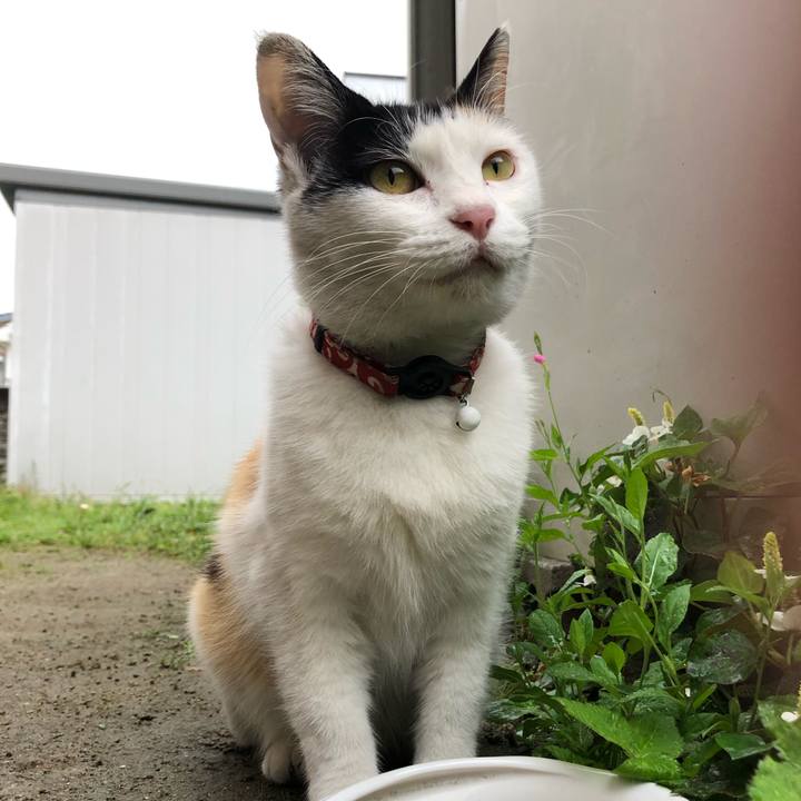 6f8a0e43 42b5 4d52 828e f31f78dd8e6c 1622724117259