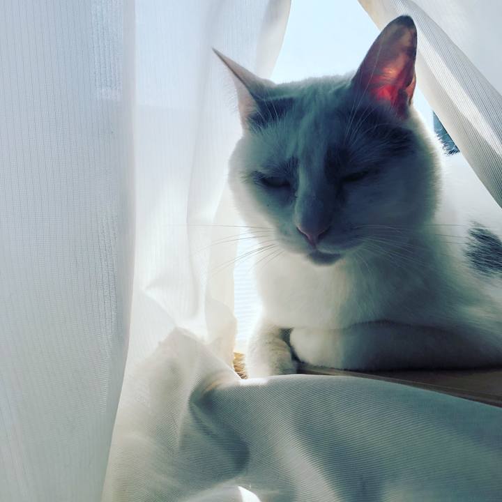 6f8a131e 01c9 4f45 b1ee 7426edae522a 1520133377725