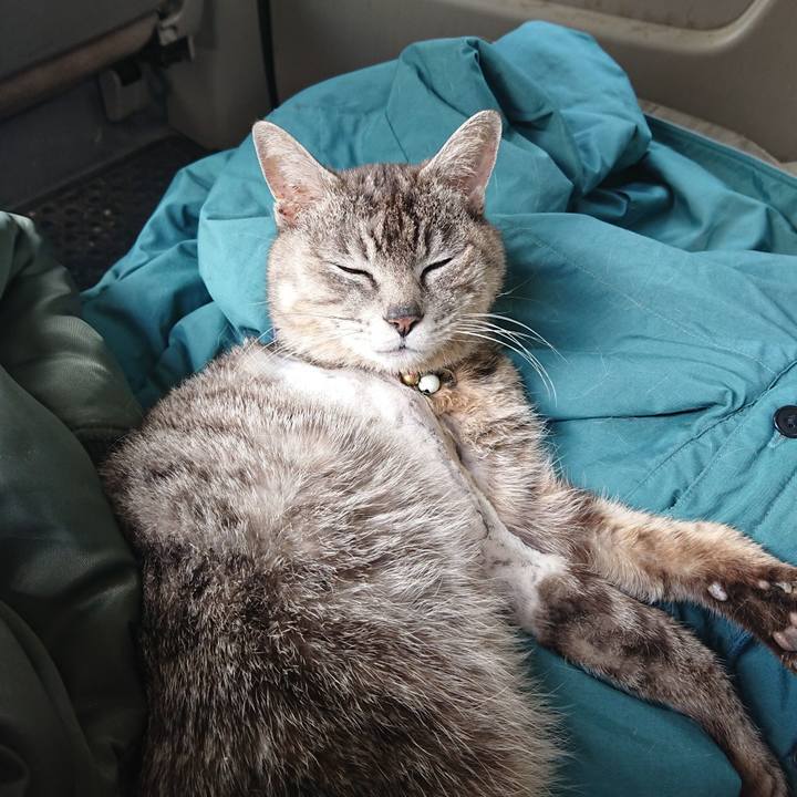 6f8a180f 746e 44e7 9487 c7f487d9cb9b 1588566040708