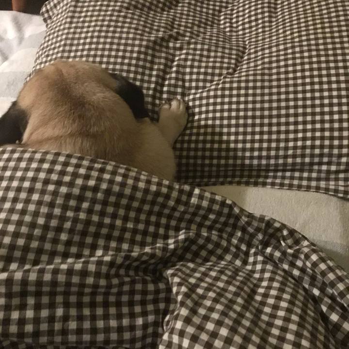 6f8a22ea fb42 433e 92d1 062e77ea54b2 1602500163599