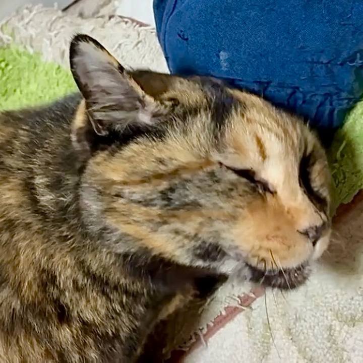 6f8a2cf0 09bc 4927 9f03 7190105118d6 1764620847843