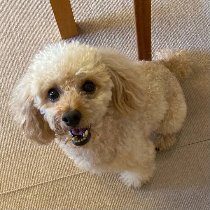 6f8a45c6 26c3 43e9 8dec a5f72b3a7437 1633243557393