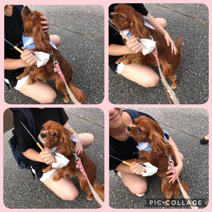 6f8a7567 3ff7 445d 8634 bc174fc38c86 1597230249159