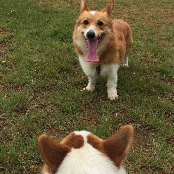 6f8abe14 4d26 4360 82f1 84dc1eb4c6e9 1765359721642