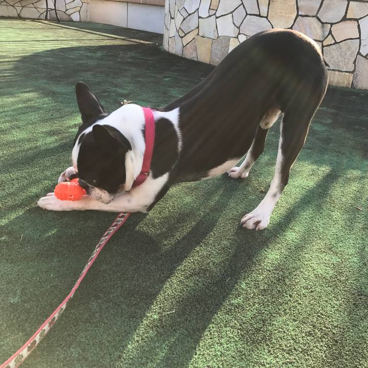 6f8ad075 1b9e 4caf 869b f69fd80e2034 1519711031729