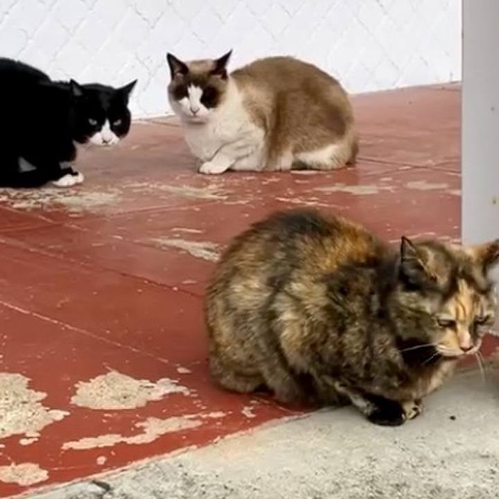 6f8af445 4029 4272 b7fc eb3fde29ad81 1742177017693