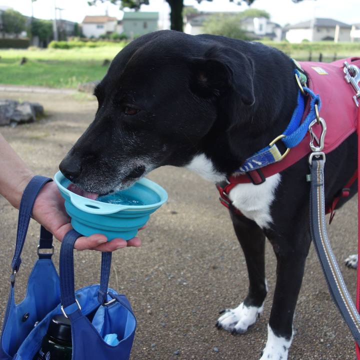 6f8afbe7 4118 4729 afe0 0cfd680cbd26 1691972264266