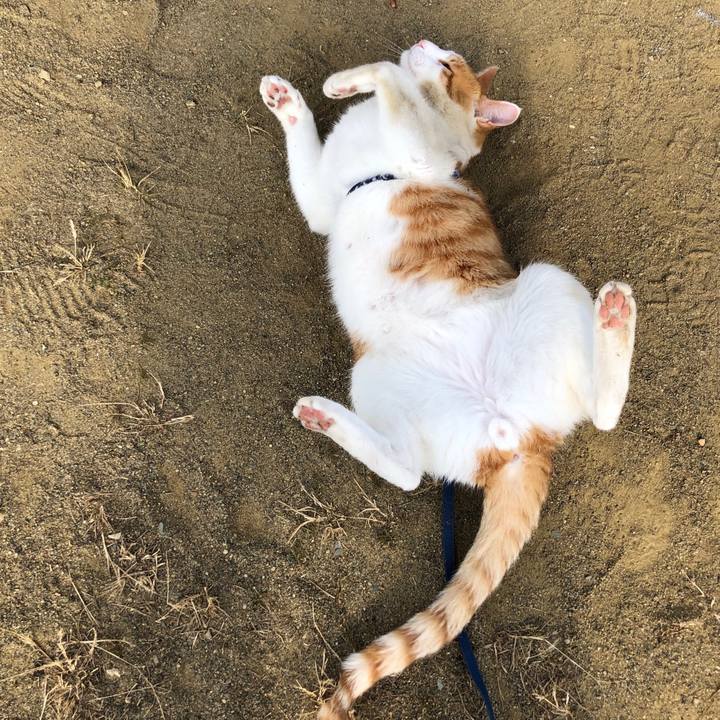 6f8b3e9d b701 4d10 b98e 6ca261d85e12 1543409087727