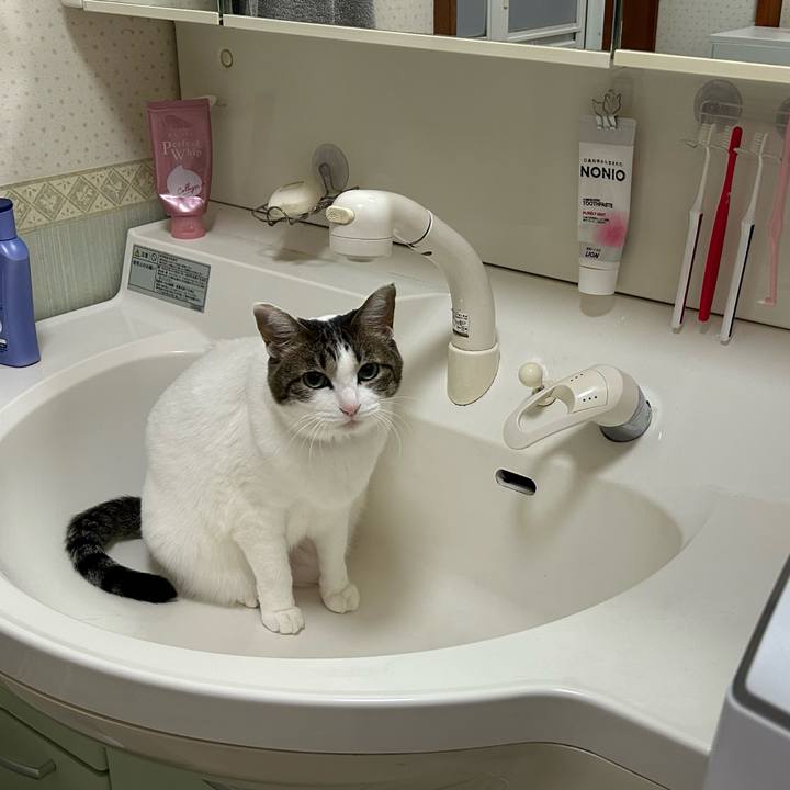 6f8b63e3 2f8b 41cb a290 d7487496fc6f 1677551240655