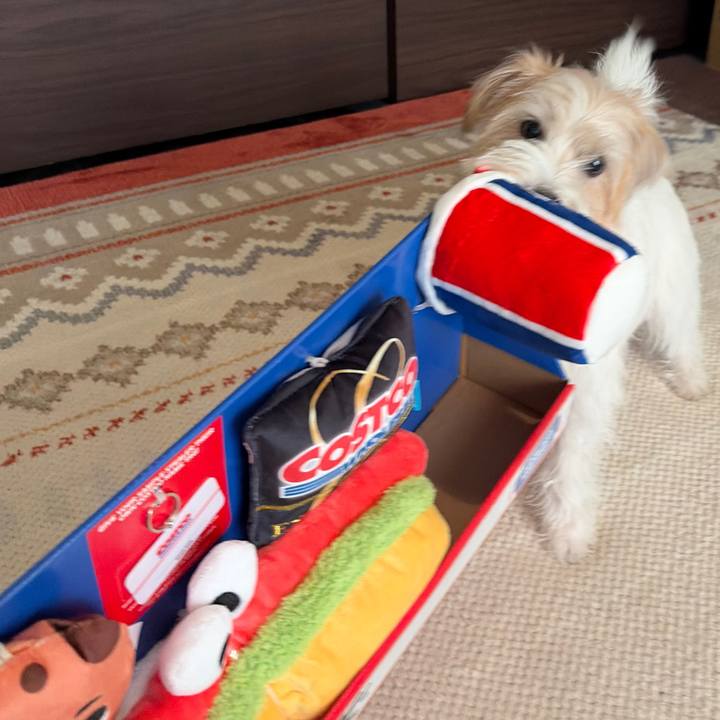 6f8b661c 523b 4f74 9a2d c197f0e1e484 1763191416563