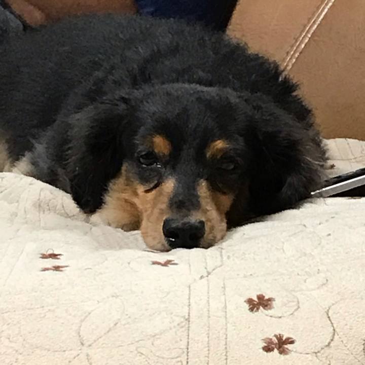 6f8bad37 76dc 4a45 86d8 26e9c932ec23 1538782263577