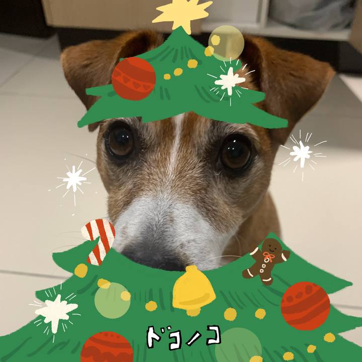 6f8bb7fd 584e 40b6 bbee 989a1ae4e058 1763945421618