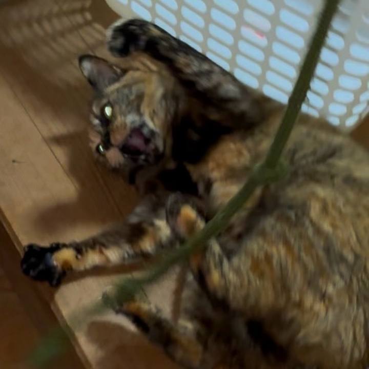 6f8bf680 6f60 476e b3aa 7c88fab0c2eb 1745264495836