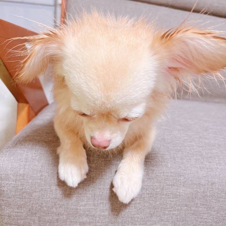 6f8c401b 8884 4000 8bad a68fe10c4ff9 1655803983297