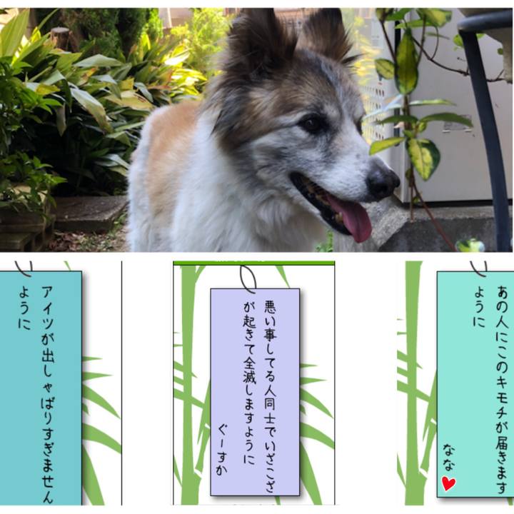 6f8caed3 75a0 430b a02b 20a34d9b02ce 1530936950771