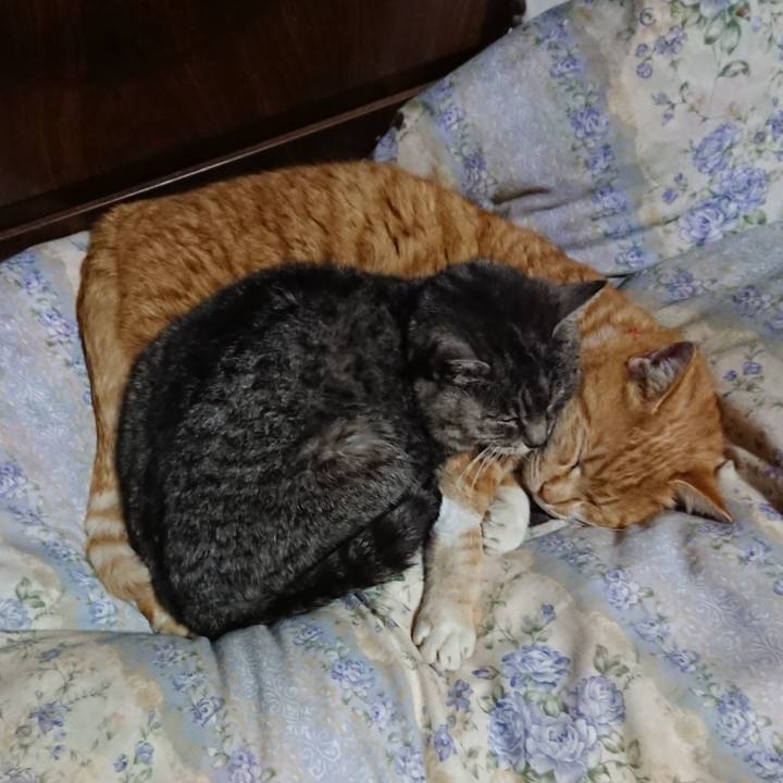 6f8cc249 cb3c 4382 a348 89bce420b5f8 1578661389506