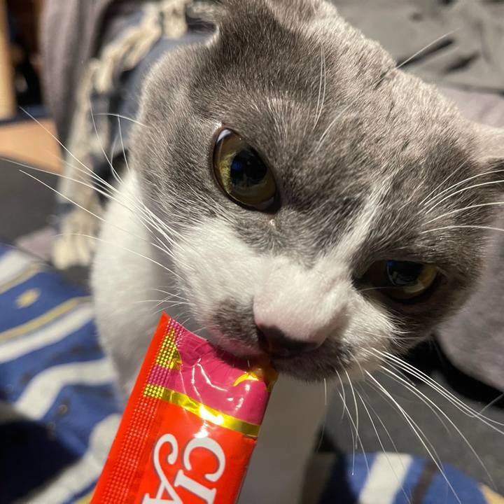 6f8ce80c 4126 4ded 8ab4 1b882a0f1c3b 1646566788248