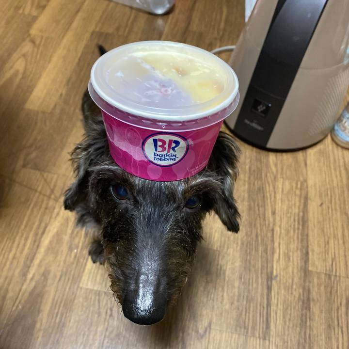 6f8cfbfc 6da4 4a6c 83ed eb02808412ff 1572532168152