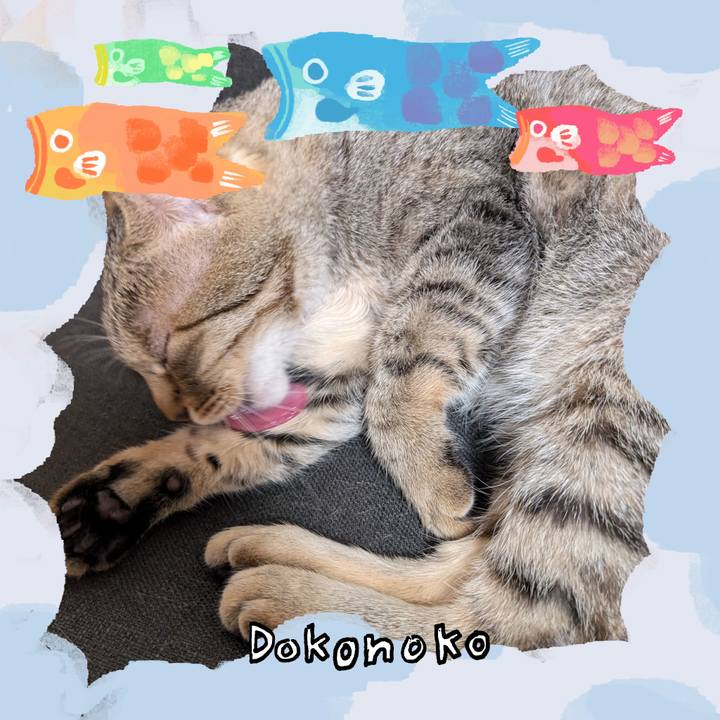 6f8d0958 cfe4 4fa6 8634 2f131418ffd7 1749471165350