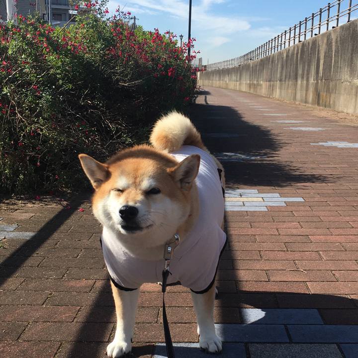 6f8d3460 17c4 40c5 9171 f361c5cf52da 1573098832974