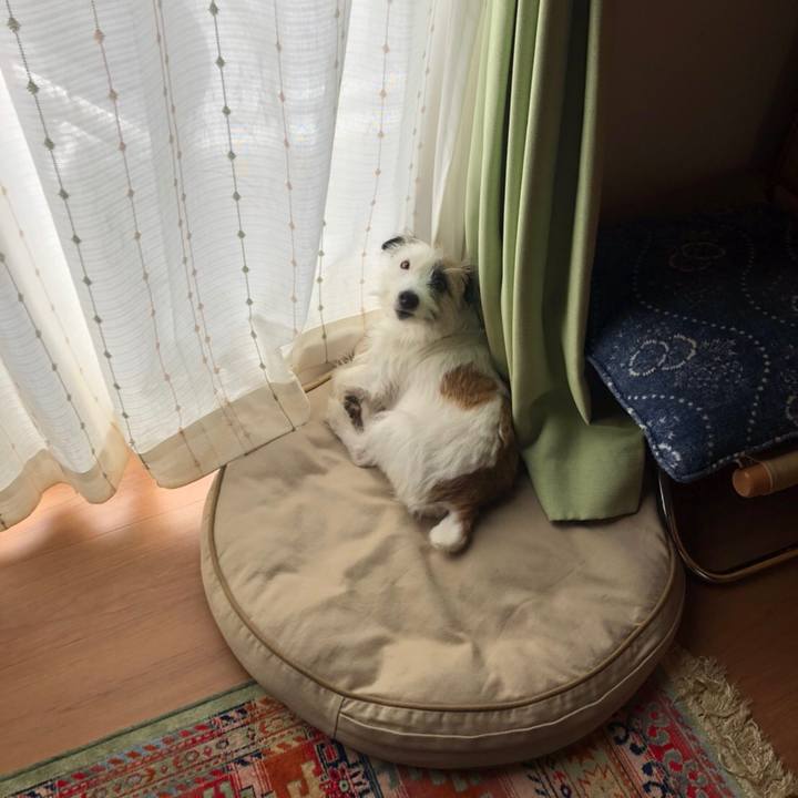 6f8d62b5 d209 478c 9726 ef5b9cc12615 1601786758612