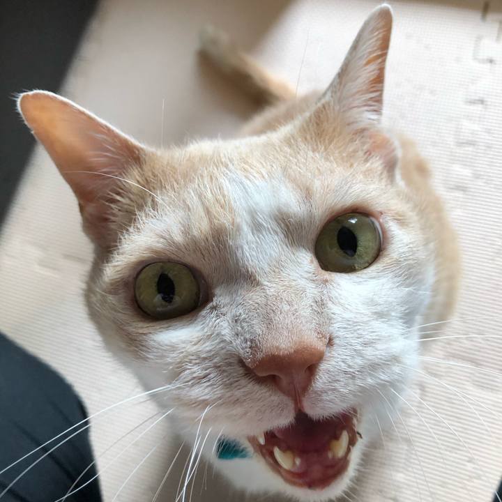 6f8d87e4 f4ff 4a8c 9b1b df1b49c1df09 1622673147583