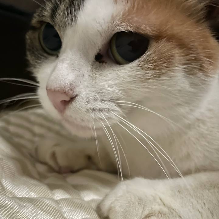 6f8d8ec6 9f3a 4d06 8892 a16caecf933c 1666458436795