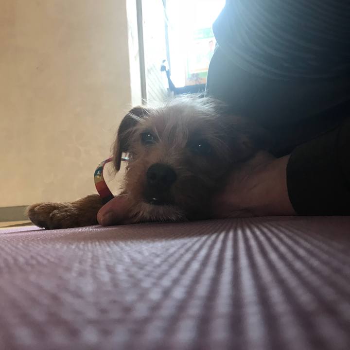 6f8d96c0 1e6f 4a7e b18d ae0e568eed19 1522213131314