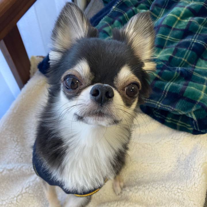 6f8d97e0 5103 49ef a18d e4cefb64f8cb 1645587087684