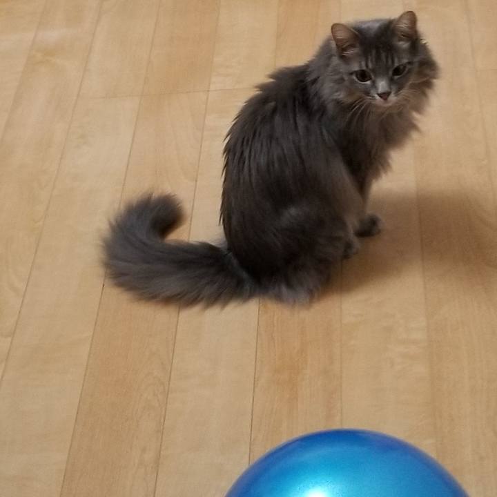 6f8e2bf8 348f 4961 8732 ec2d67c6daa4 1558730328933