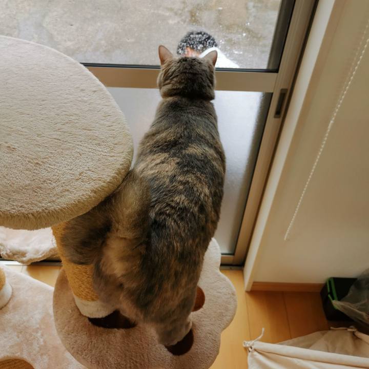 6f8e49ba 6be0 462f 9f88 851a2f69d60f 1634097931636