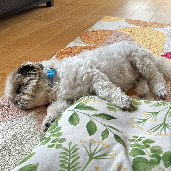 6f8e80ca 0699 4df2 bdef f471d812181b 1687567205871