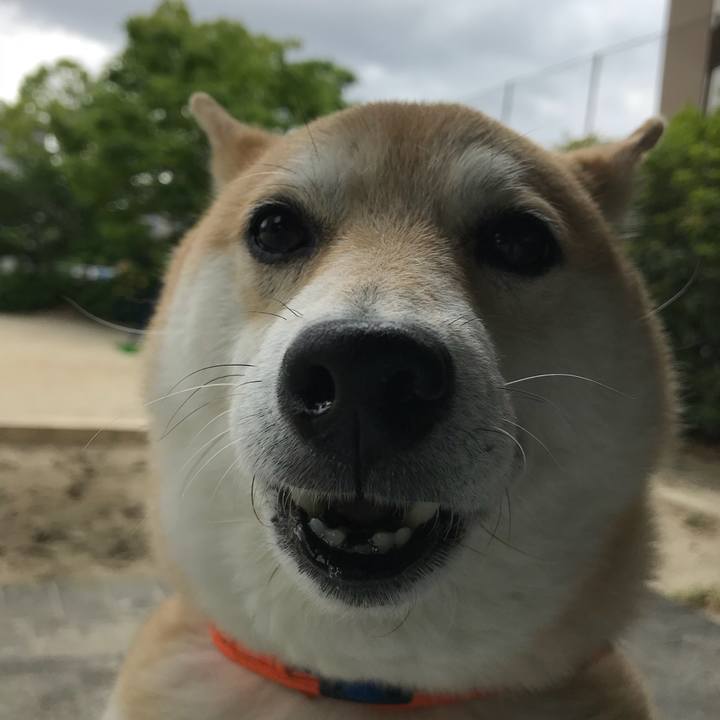 6f8e8ad6 b1e1 48e8 b132 59354b2aa7bd 1525916198422