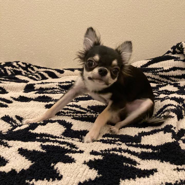 6f8e9765 500b 43b6 b535 0abfda136ad3 1597496427186