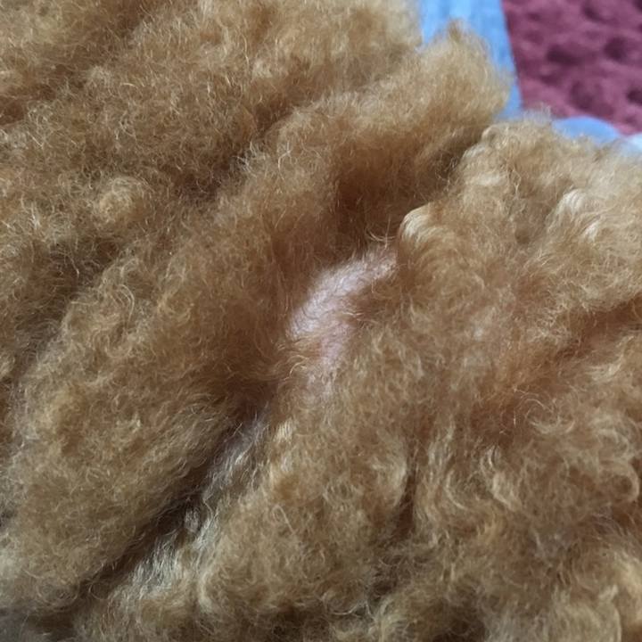 6f8e9acc 1370 46b9 bd22 43b978f377f4 1550671454740