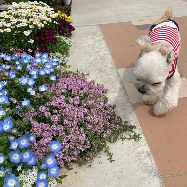 6f8ea336 2492 40a7 8b65 958ff69664cc 1650544526926