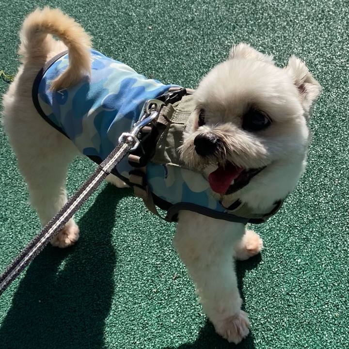 6f8ec00f 6501 482f abb4 f03af9b5f4e1 1730631636151