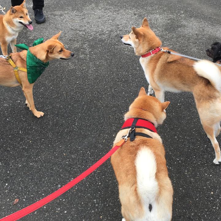 6f8ec0e9 f695 4311 88ee 2e82bd01c121 1602376772505