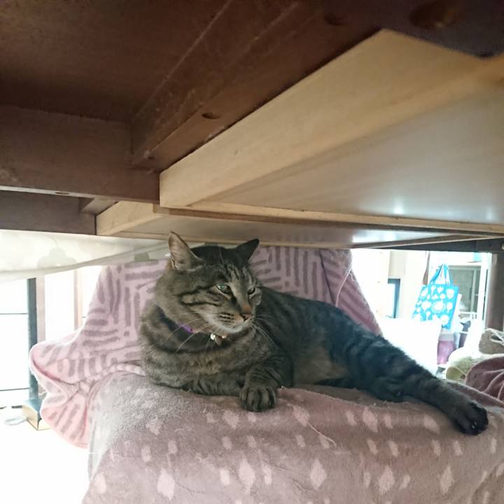 6f8eca76 7b21 49ae 8f53 35d6cf792be3 1652220618696