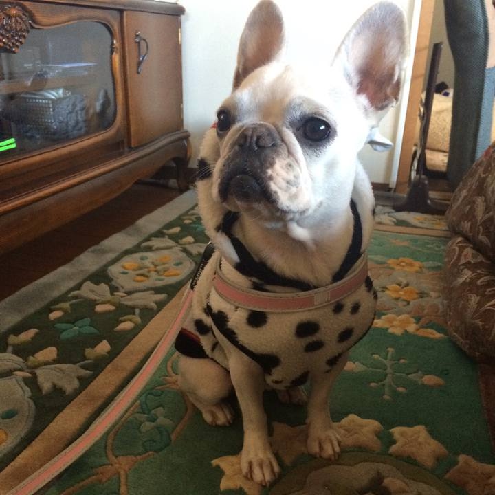 6f8ecaea a6f9 4e01 b2ee e5ad0e8786f7 1511053842400