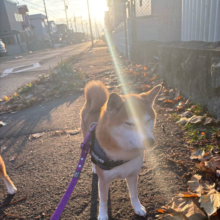 6f8ed31c 1114 407f a765 95854d2ebe94 1764216659021