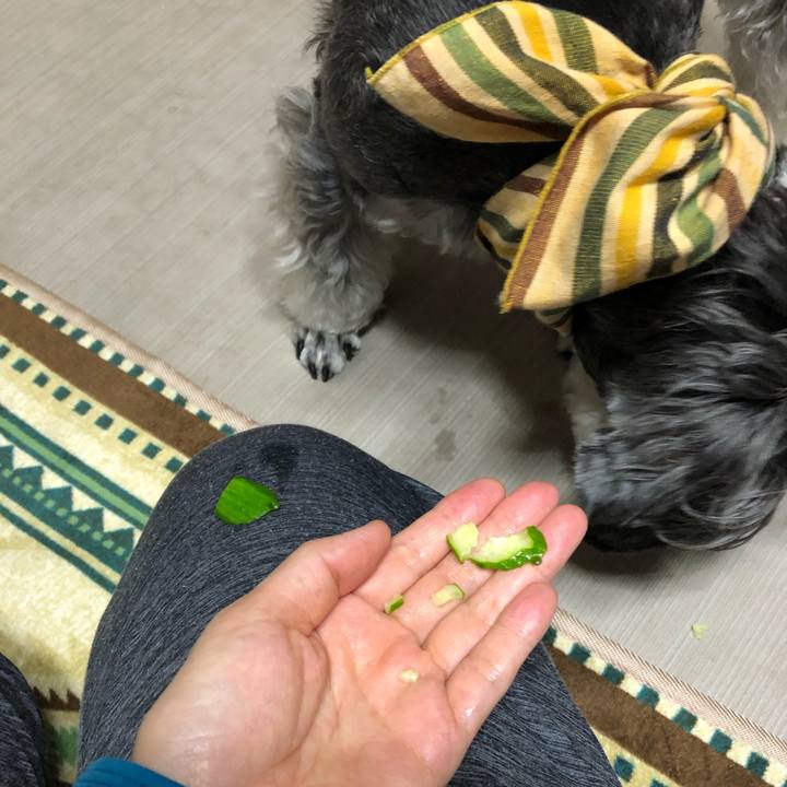 6f8ed3f0 6a98 47fc a775 606c8f5513bb 1656164223706